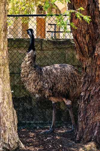 HJRW_20240112_DSC_5394-Edit.jpg HJRW_20240112_DSC_5394-Edit.jpg