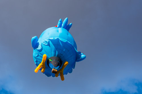 HJRW_20151009__DSC2397.jpg