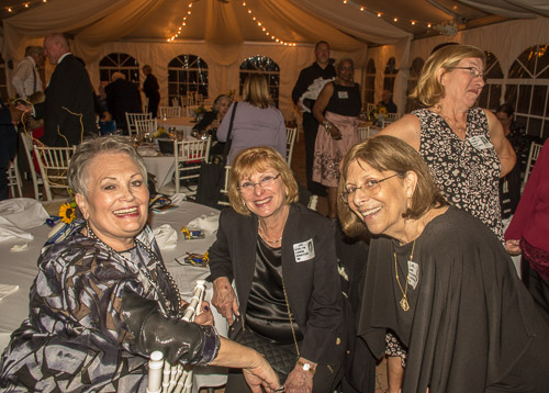 HJRW_20161015_DSC8284.jpg